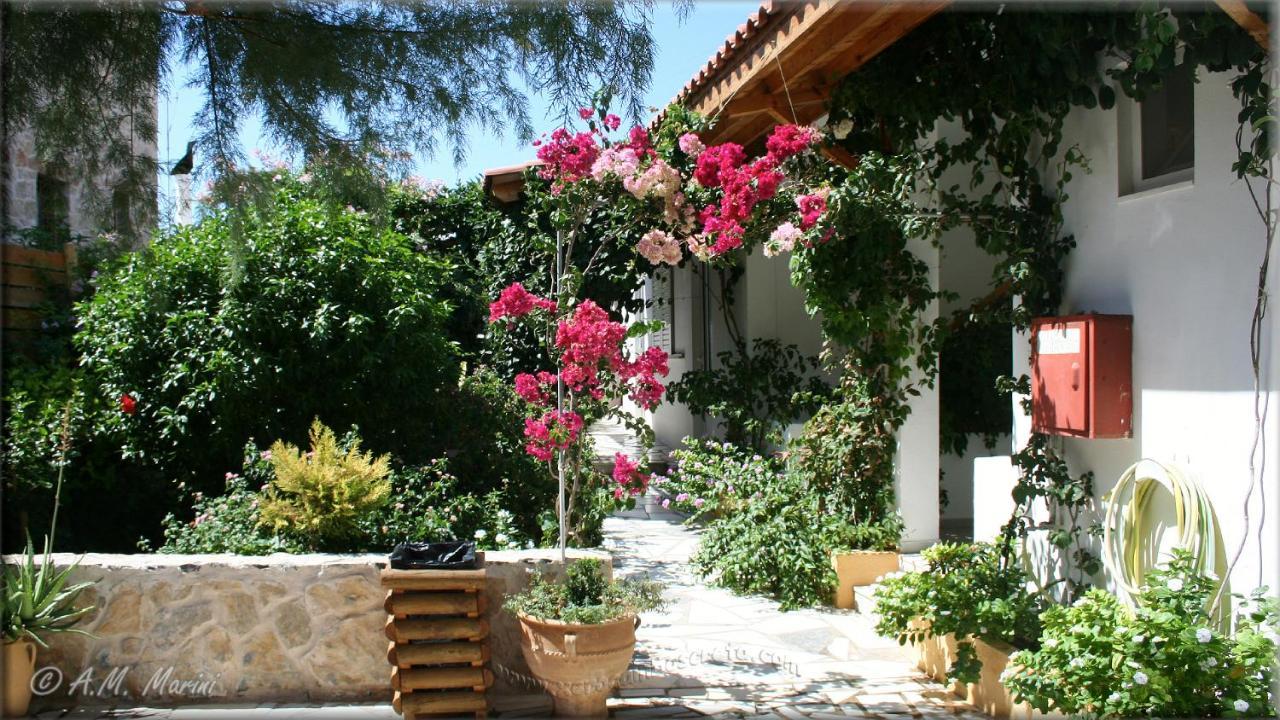 Apartament Ampelos And Xerokampos (Crete)