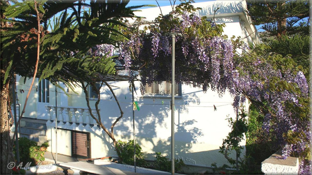 Ampelos And Apartament *