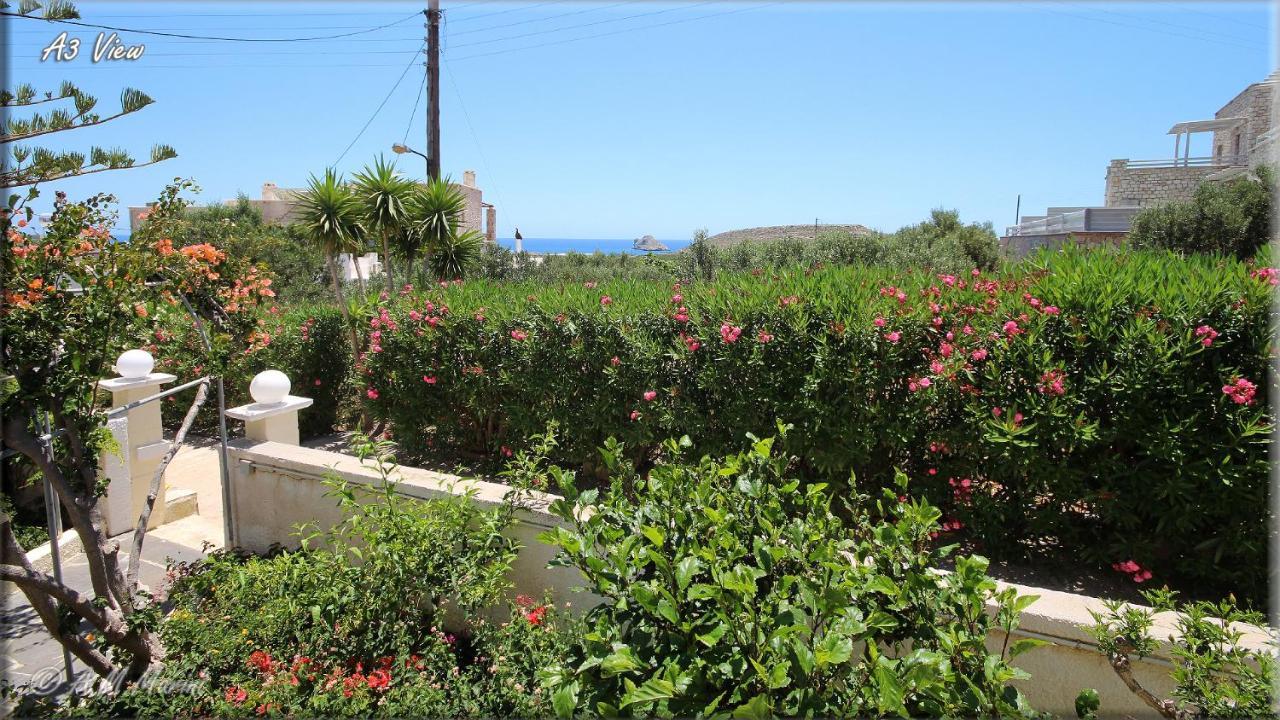 Ampelos And Appartement Xerokampos (Crete)